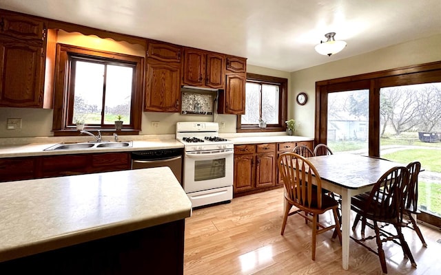 kitchen featuring white range with gas cooktop, a wealth of natural light, sink, and light hardwood / wood-style flooring