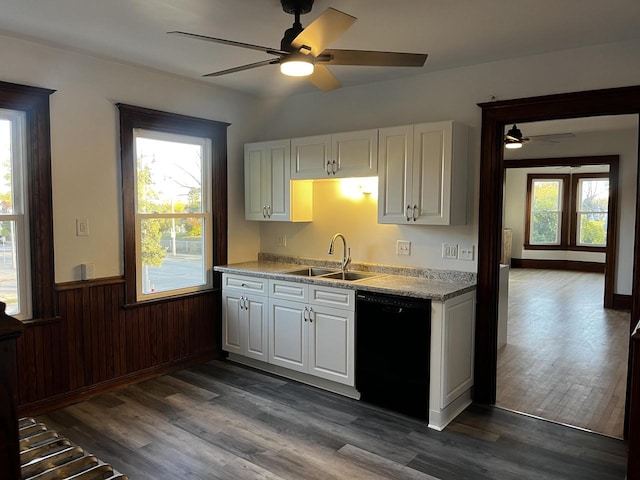 kitchen featuring dishwasher, white cabinets, plenty of natural light, and sink