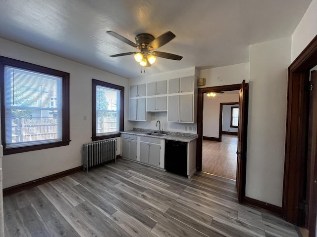 kitchen with radiator, ceiling fan, sink, black dishwasher, and light hardwood / wood-style floors