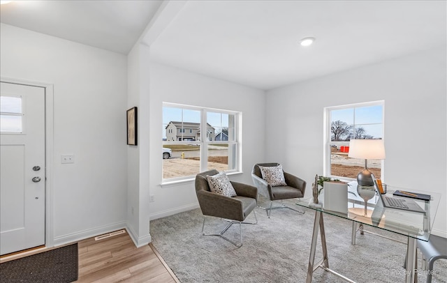 foyer with plenty of natural light and light hardwood / wood-style flooring