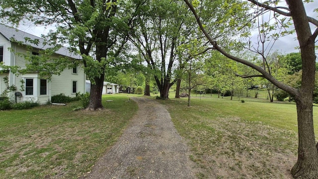 33135 Fulton St, Lone Rock, WI 53556 - view of dirt / gravel driveway