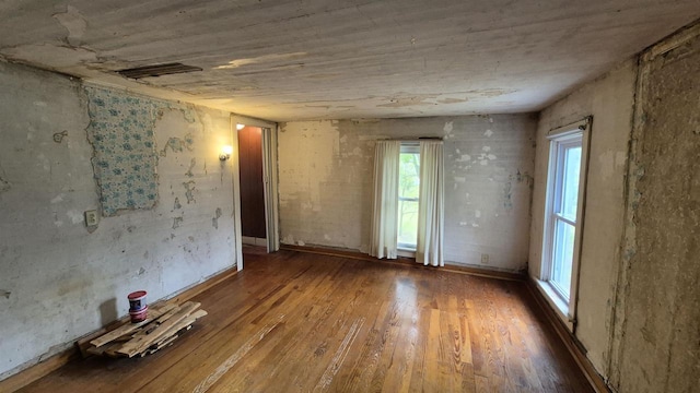 33135 Fulton St, Lone Rock, WI 53556 - spare room featuring plenty of natural light and wood finished floors