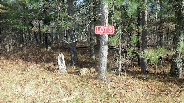 LOT3 Gilmore Dr, Minong WI, 54859 land for sale