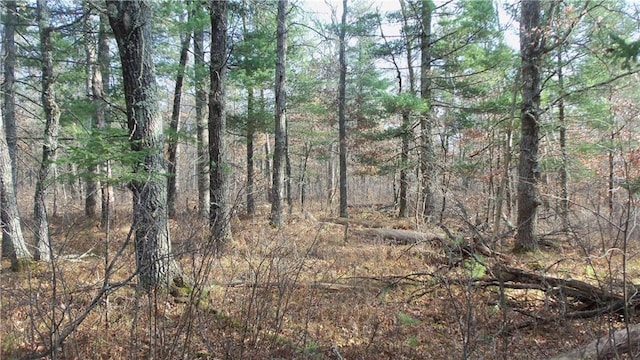 Listing photo 3 for LOT3 Gilmore Dr, Minong WI 54859