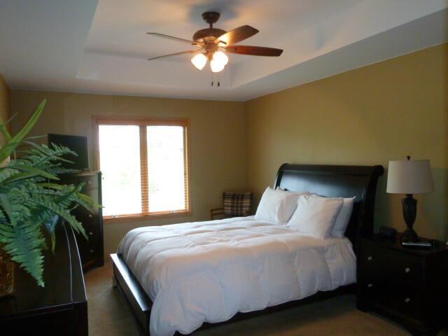 bedroom featuring dark colored carpet, ceiling fan, and a tray ceiling