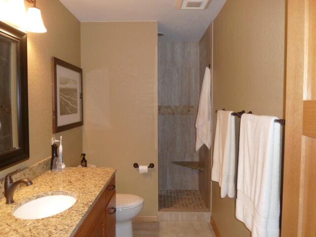 bathroom with toilet, vanity, and tiled shower