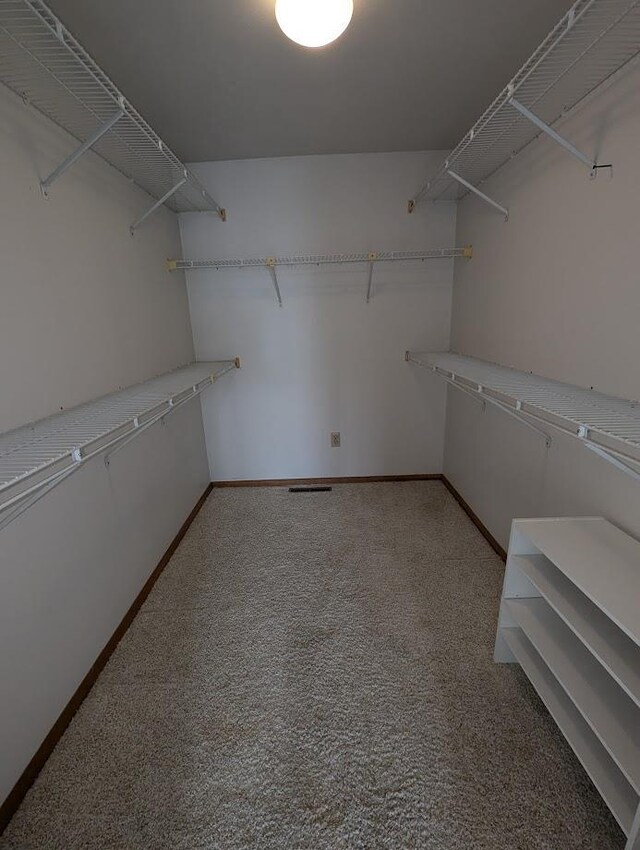 spacious closet featuring carpet flooring