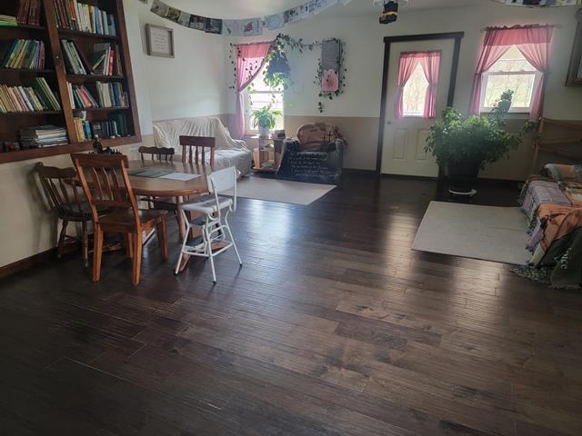 dining room featuring dark wood-type flooring