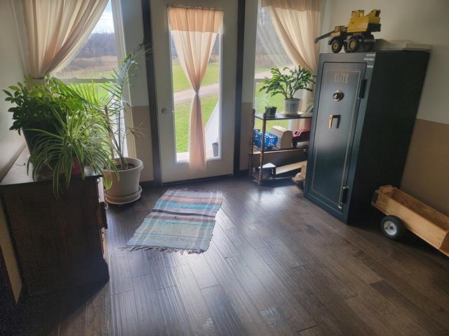 doorway to outside featuring dark hardwood / wood-style floors