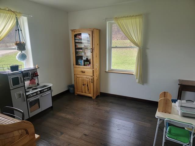 kitchen with dark hardwood / wood-style floors