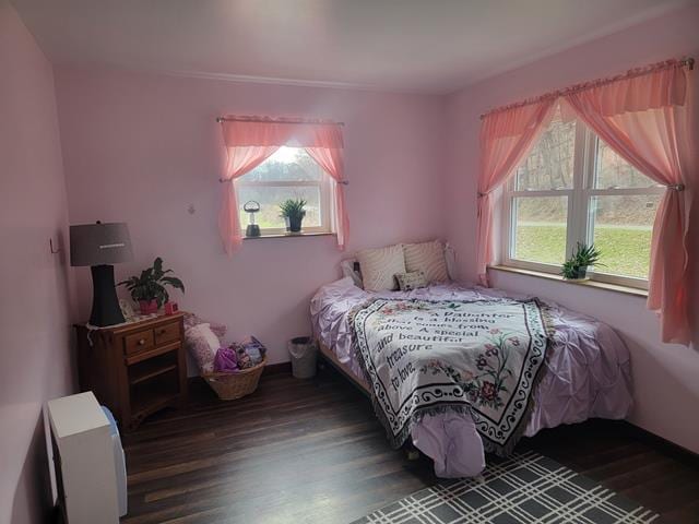 bedroom featuring multiple windows and dark hardwood / wood-style flooring