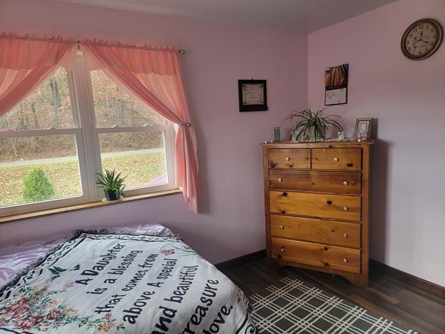 bedroom featuring dark hardwood / wood-style floors