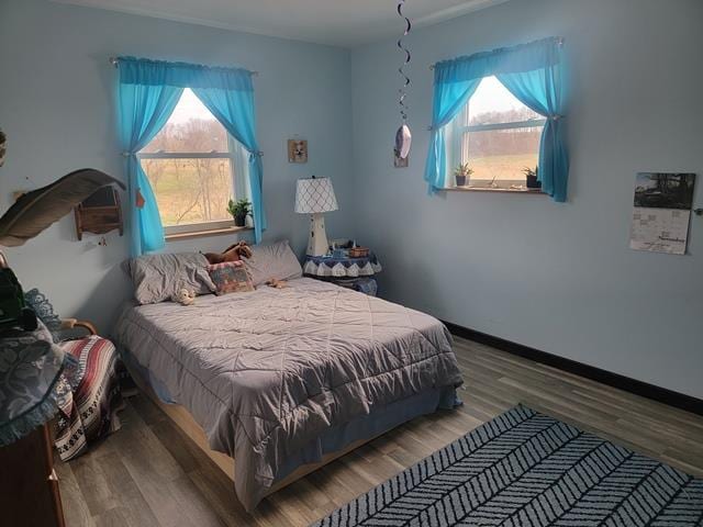 bedroom featuring hardwood / wood-style floors