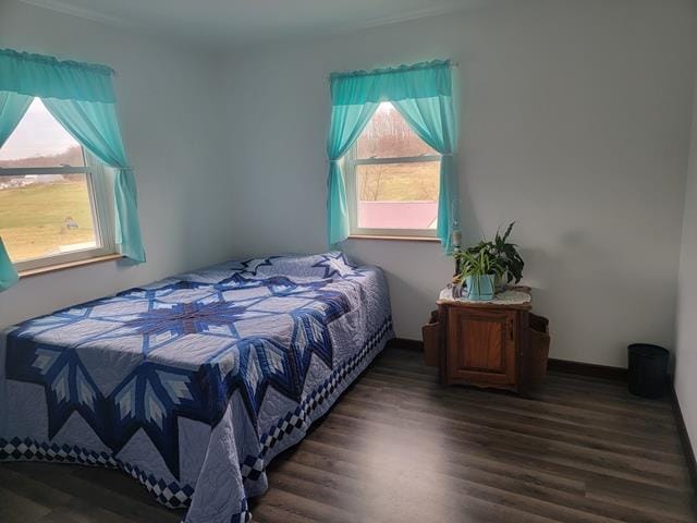 bedroom with dark hardwood / wood-style flooring