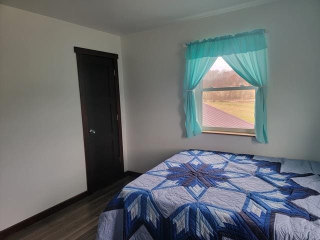 bedroom featuring dark wood-type flooring