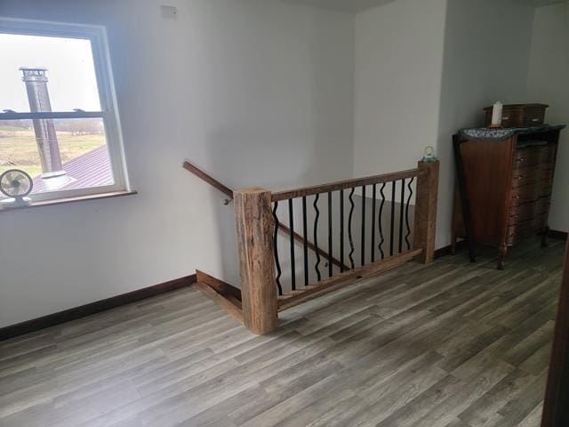 stairway featuring wood-type flooring