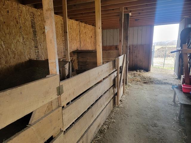 view of horse barn