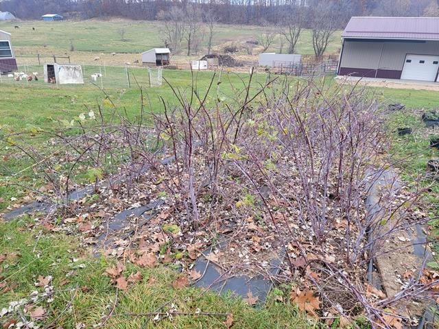 view of yard featuring a rural view and an outbuilding