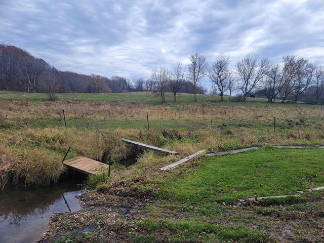 view of yard featuring a rural view