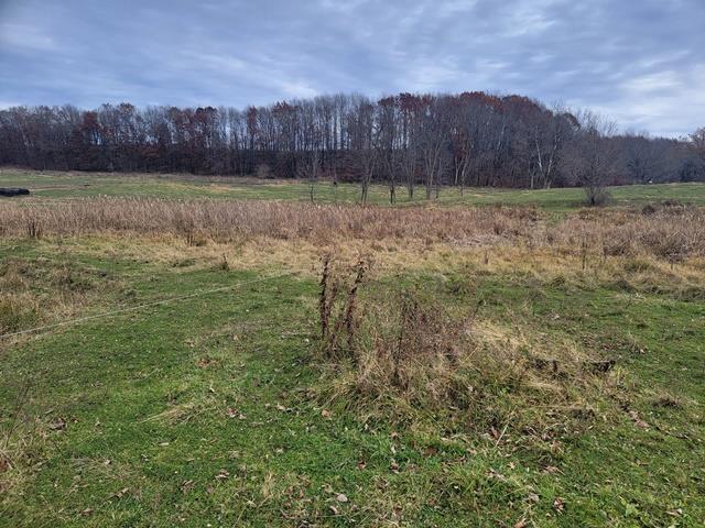 view of landscape with a rural view