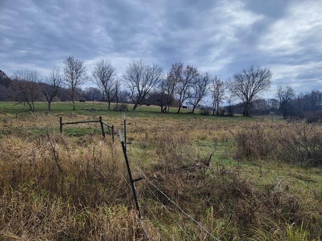 view of yard featuring a rural view