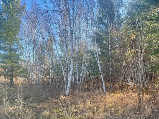 Listing photo 3 for XXX Marek Rd, Grantsburg WI 54840