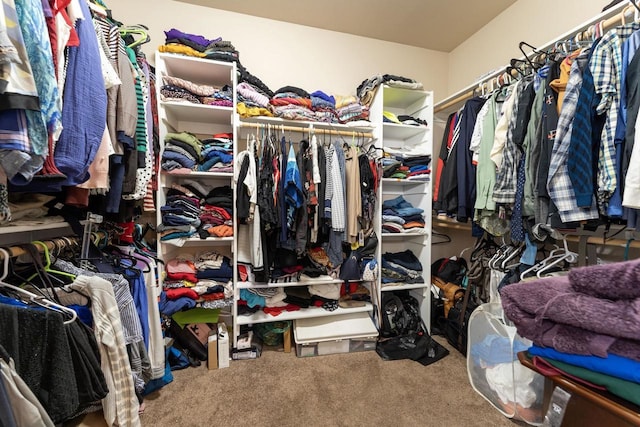 walk in closet with carpet flooring