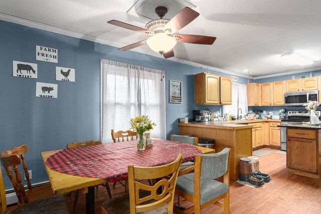 kitchen with ceiling fan, light wood-type flooring, crown molding, and appliances with stainless steel finishes