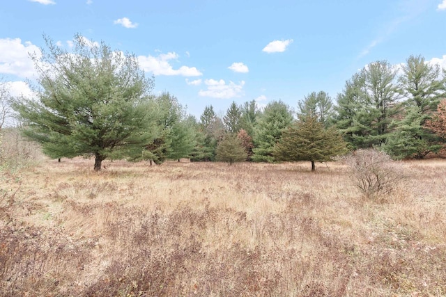 view of local wilderness featuring a rural view