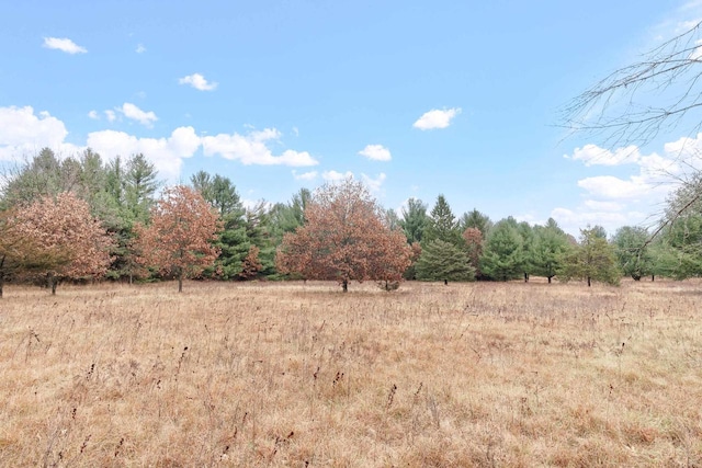 view of landscape with a rural view
