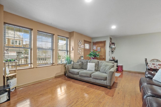 living room featuring light hardwood / wood-style floors