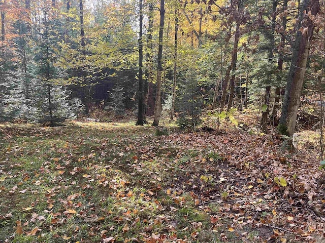 17401 Wildflower Ln, Townsend, WI 54175 - view of tree filled area