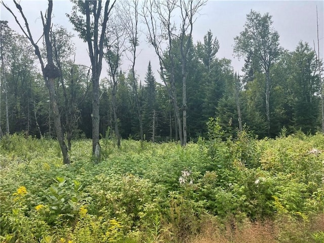 6/-ACRESON Old 13th Rd, Butternut WI, 54514 land for sale