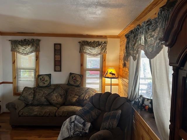 living room with wood-type flooring, a textured ceiling, and crown molding