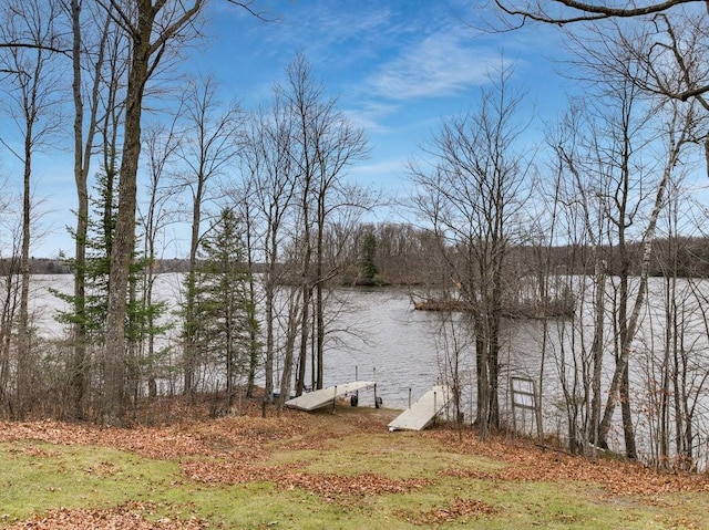 water view featuring a dock