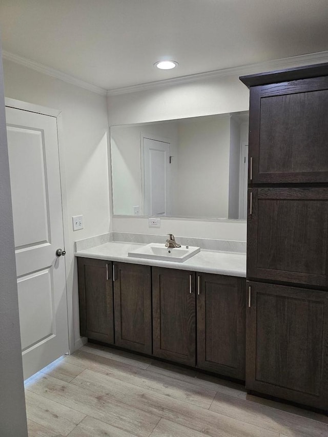 S13041 Shifflet Rd Unit 128, Spring Green, WI 53588 - bathroom with crown molding, vanity, wood finished floors, and recessed lighting
