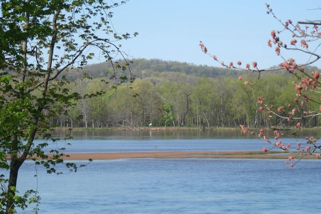 S13041 Shifflet Rd Unit 128, Spring Green, WI 53588 - water view with a forest