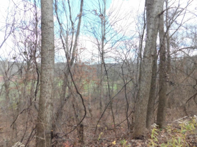 1609 S Springs Dr, Spring Green, WI 53588