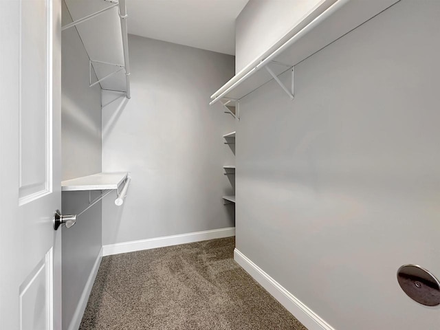 spacious closet featuring dark carpet