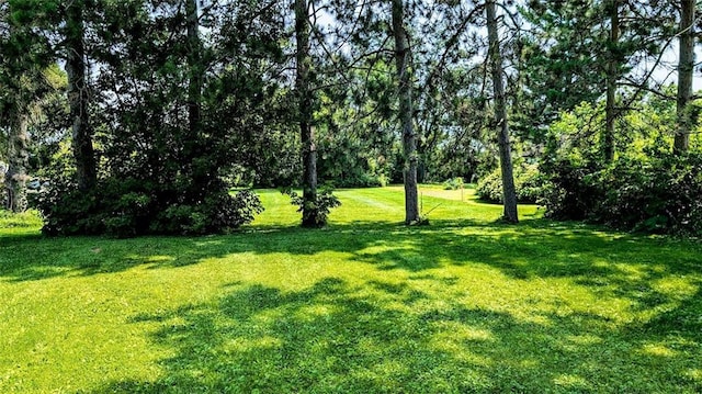 Listing photo 3 for LOT1 S E St, New Auburn WI 54757