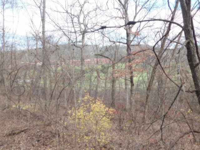 1611 S Springs Dr, Spring Green, WI 53588