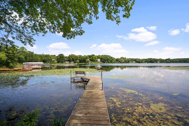 view of dock with a water view