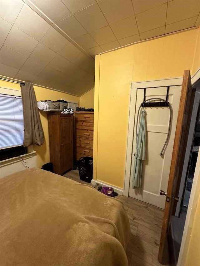 bedroom featuring light hardwood / wood-style flooring and a closet