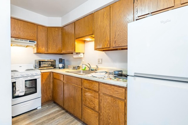 kitchen featuring sink, light hardwood / wood-style floors, white appliances, and ventilation hood