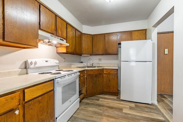 kitchen featuring hardwood / wood-style floors, white appliances, and sink