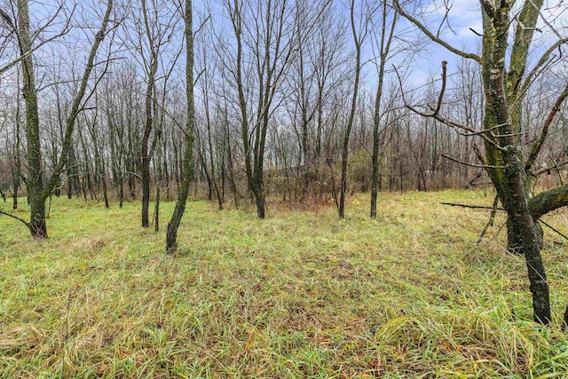 Listing photo 2 for LOT18 Chokecherry Ln, Amherst WI 54406