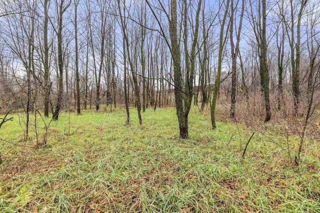 Listing photo 3 for LOT18 Chokecherry Ln, Amherst WI 54406