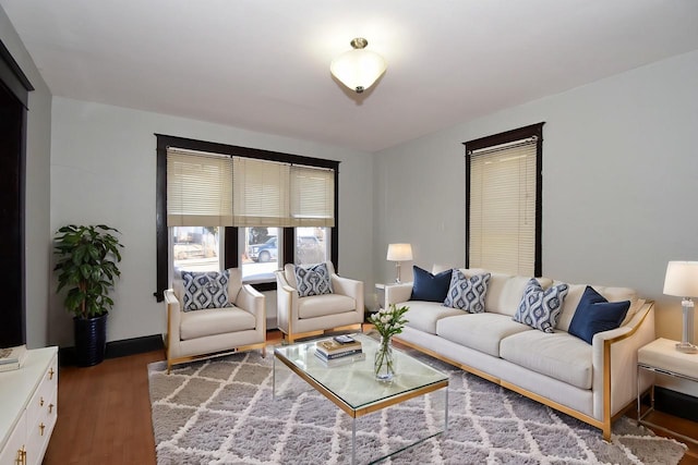 living room with wood-type flooring