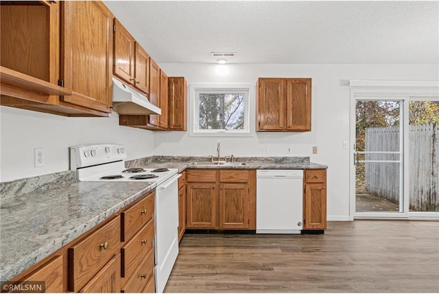 kitchen featuring white appliances, dark hardwood / wood-style floors, a wealth of natural light, and sink