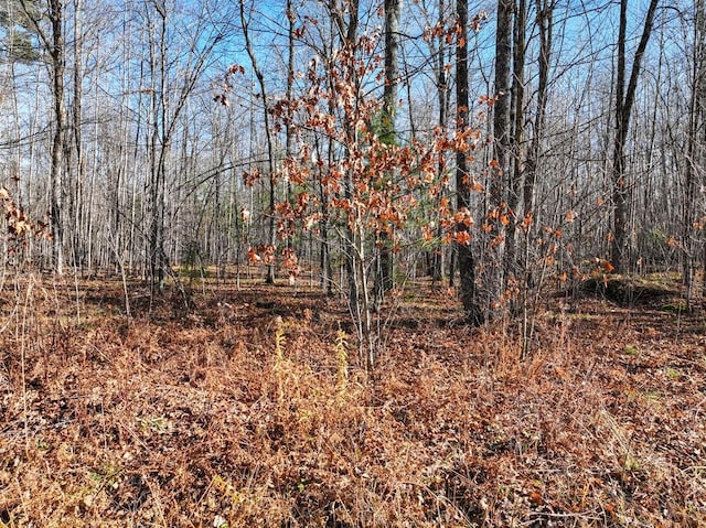 Listing photo 2 for LOT14 Peninsula Rd, Hayward WI 54843